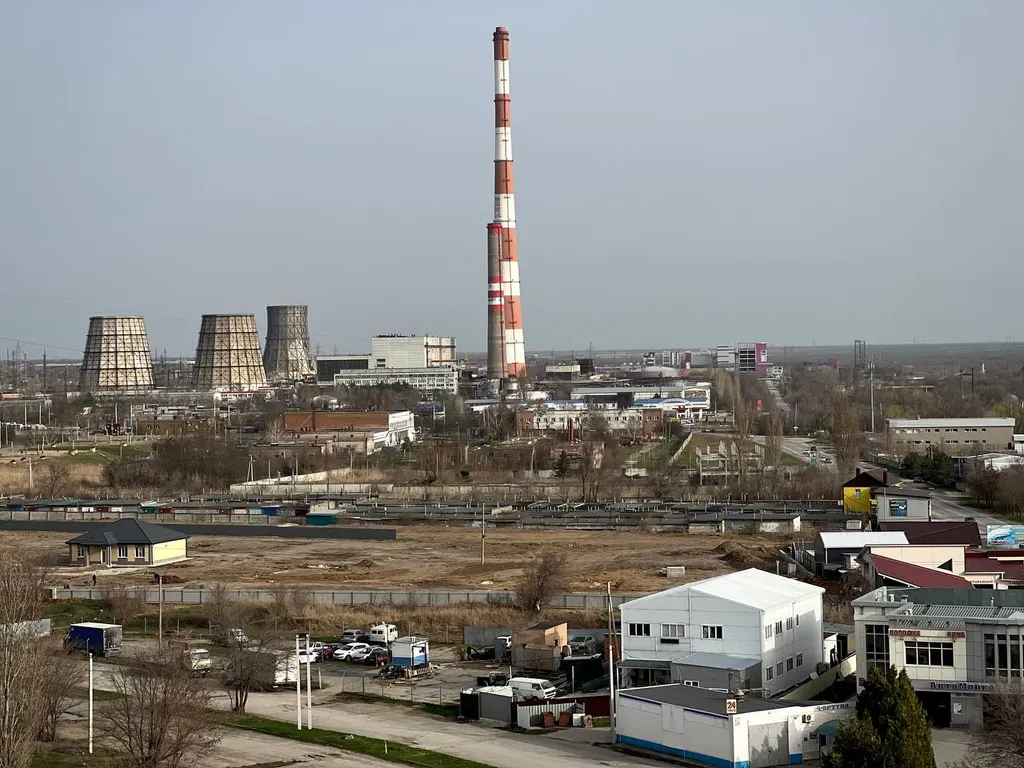 Grеen wood возле залива