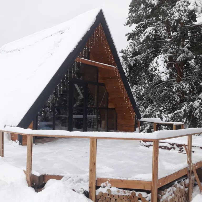 Уютный дом с баней и купелью в сосновом бору