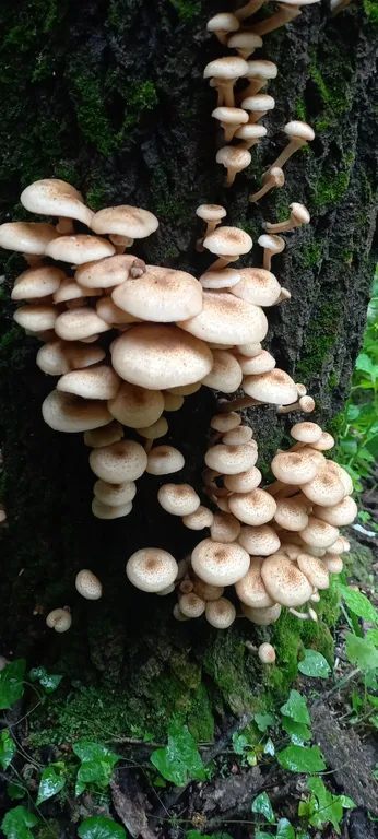 Оз. Еловое санаторий сосновая горка Уютная Квартира