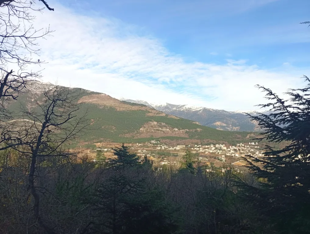 Студия «БЛИСС» с видом на горы