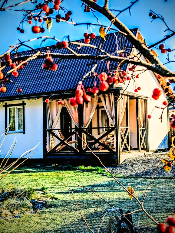 Коттедж Кошкин Дом — аренда посуточно в Чемал