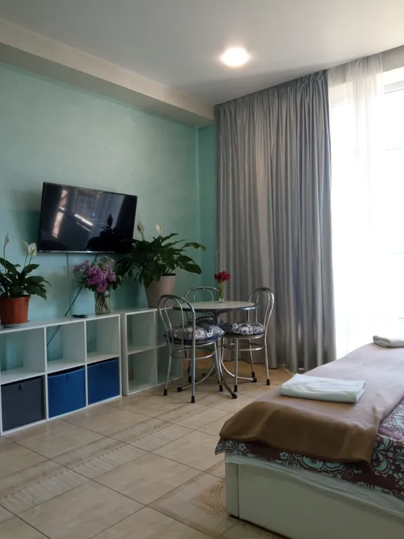 Видовая студия с балконом