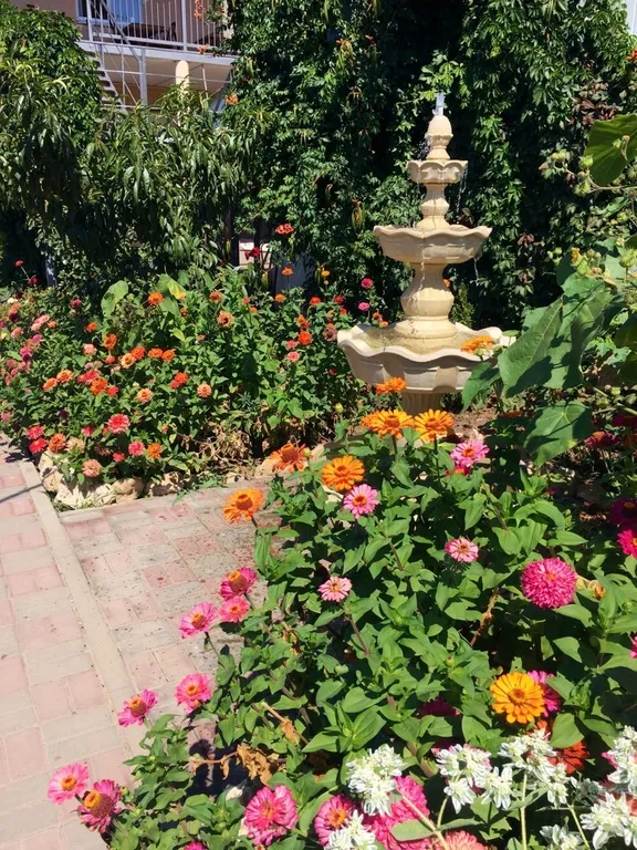 Стандартный номер на троих