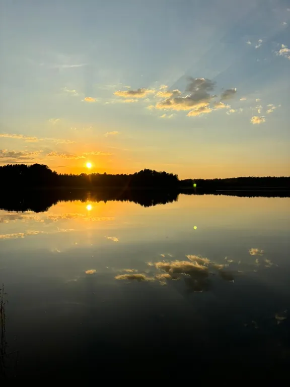 Маленький дом увитый виноградом