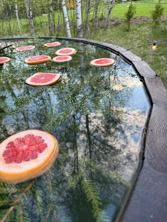 Дюна Domingo Dacha