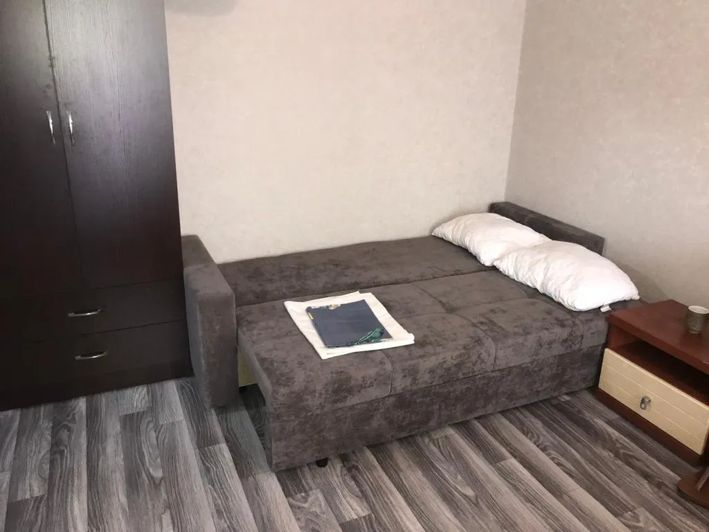 1 комнатная квартира на набережной реки Есентай