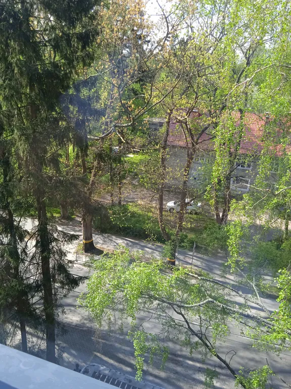 Квартира Квартира В гости к Эмме — Светлогорск