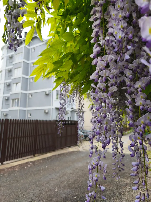 Апартамент у моря в Туапсинском районе, Агой