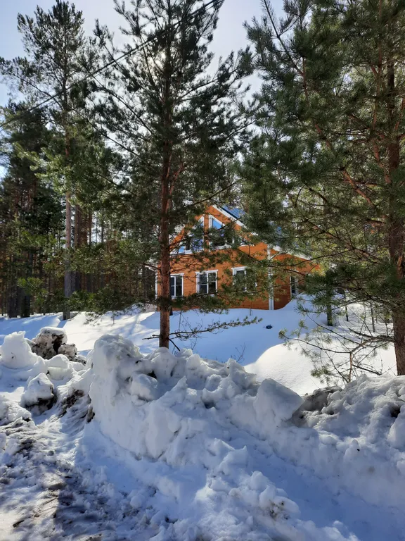 Коттедж Гостевой дом в сосновом бору на Ладоге — аренда посуточно в Олонец