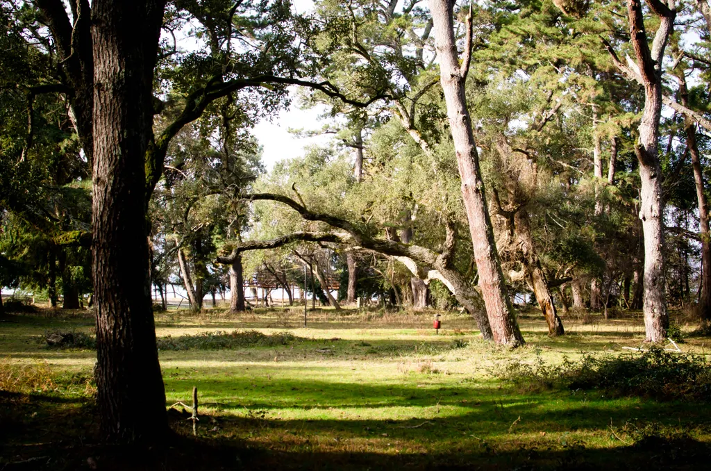 Семейные апартаменты в Агудзере