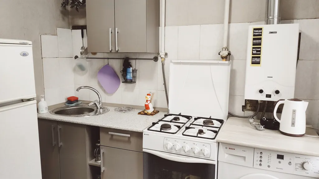 С Толстым у парка