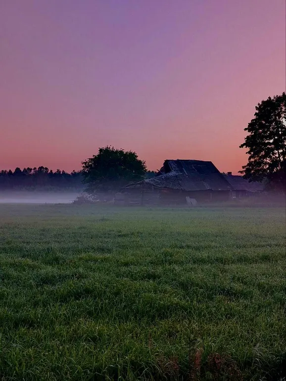 Отдых на территории гпу Беловежская пуща