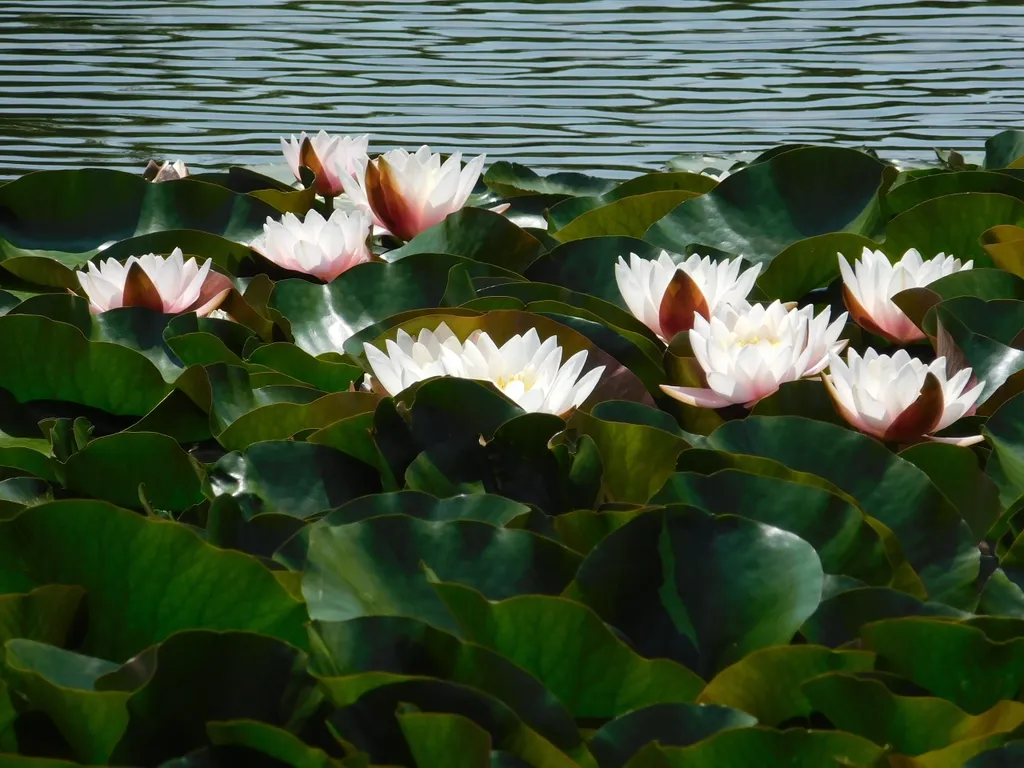 Уютная 1-комнатная квартира в центре города