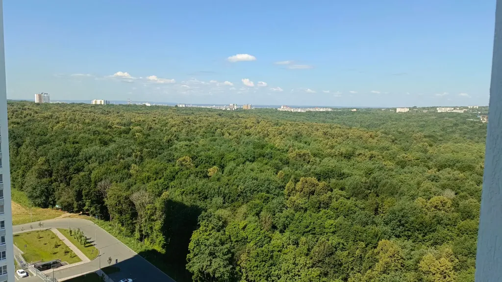 Квартира Цветы