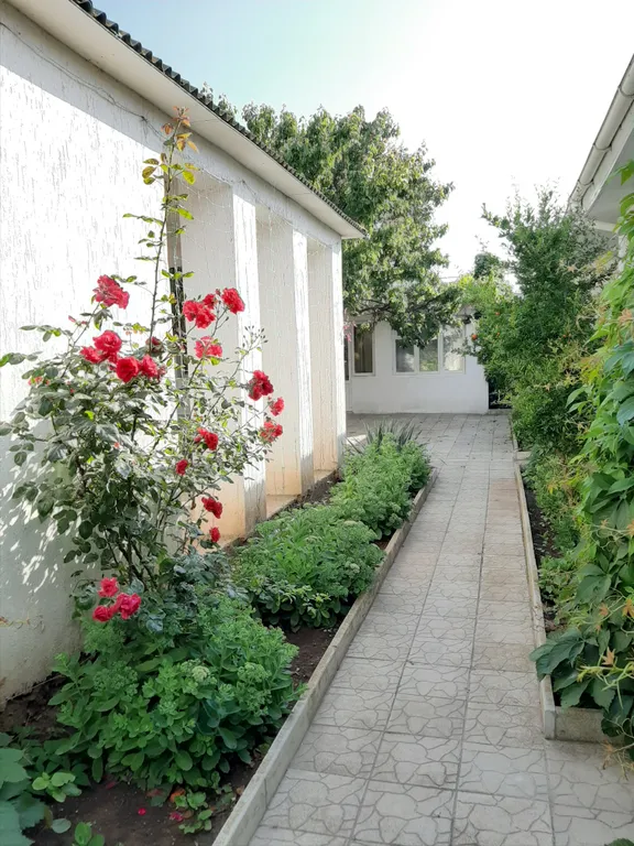 Двухместный номер стандарт с террасой