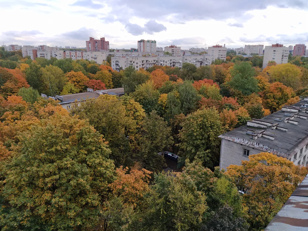 Петербургская квартира с видом на закат