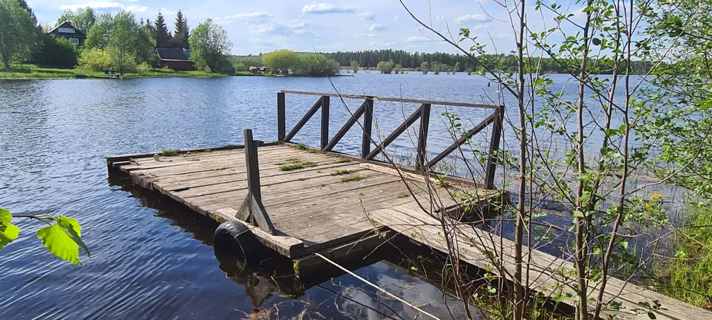 Большой дом на берегу Вселуга