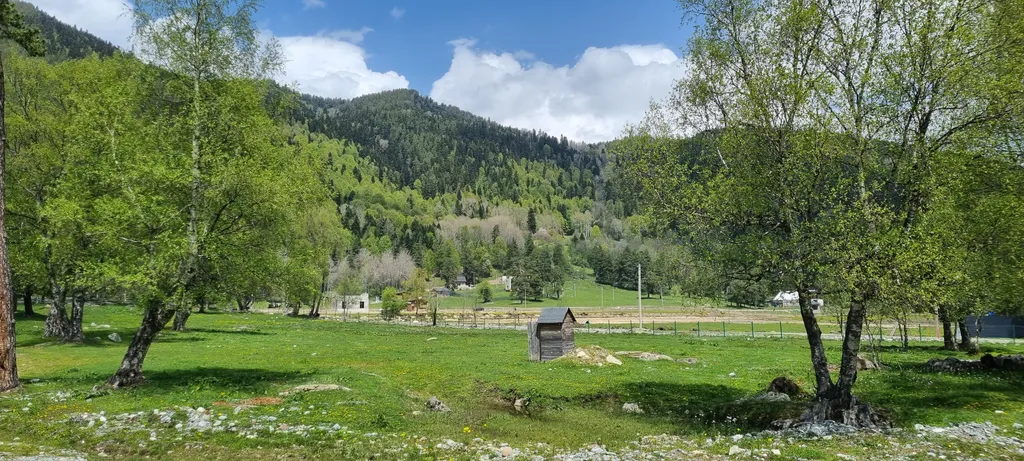 Коттедж Дом с террасой в лесу рядом с речкой — Архыз