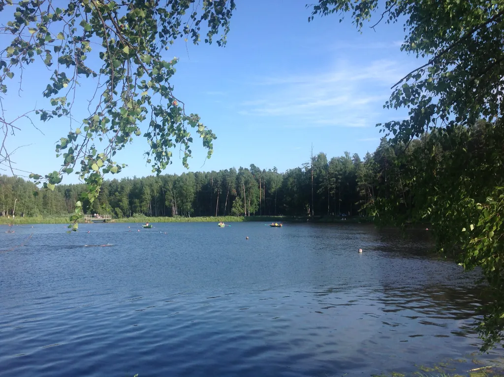 Квартира Красивый дом у парка Берендеевка, парковка, мангал — Кострома