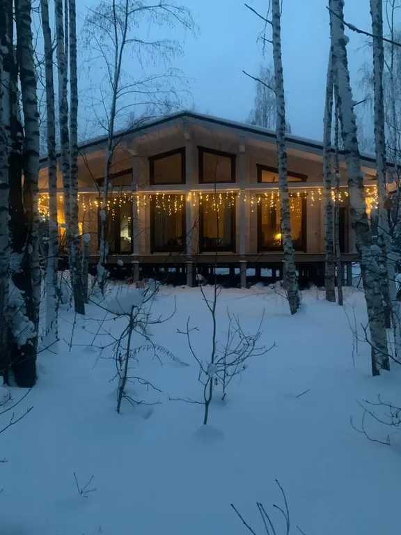 Сказочное шале в лесу