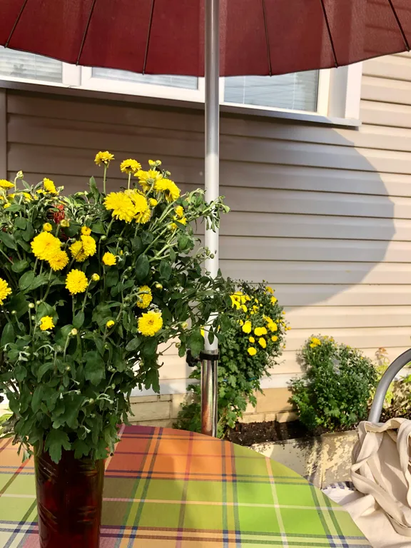 Коттедж Уютный, чистый, красивый дом — Кисловодск