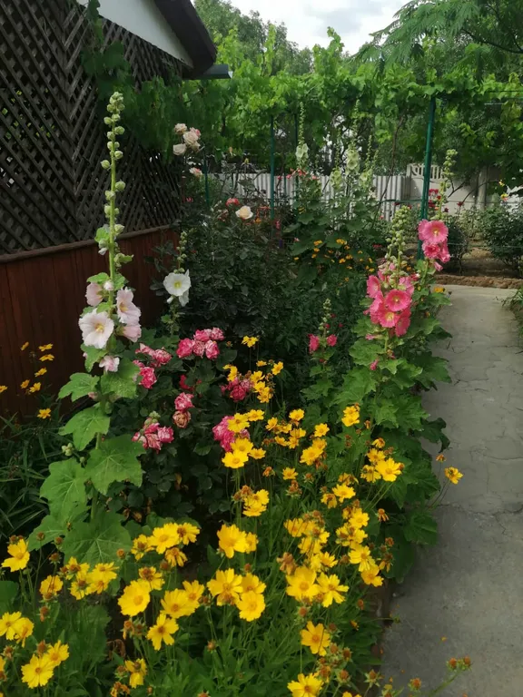 Уютный дом в тихом районе