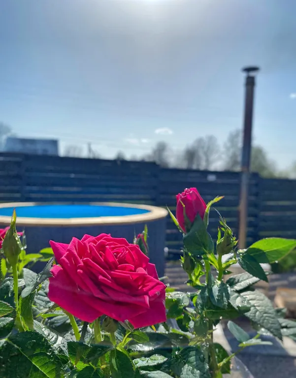 Территория отдыха Псковская жемчужина