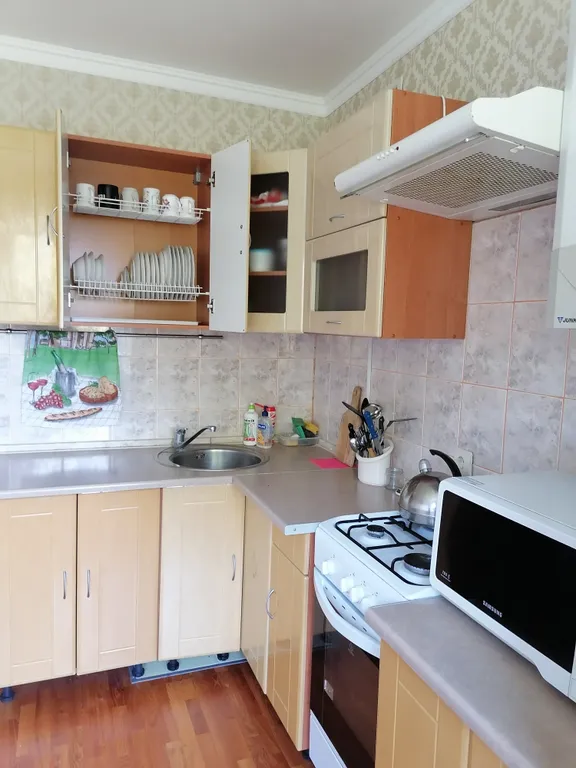 Квартира Уютная квартира в центре города — Пионерский