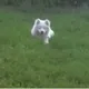 Татьяна