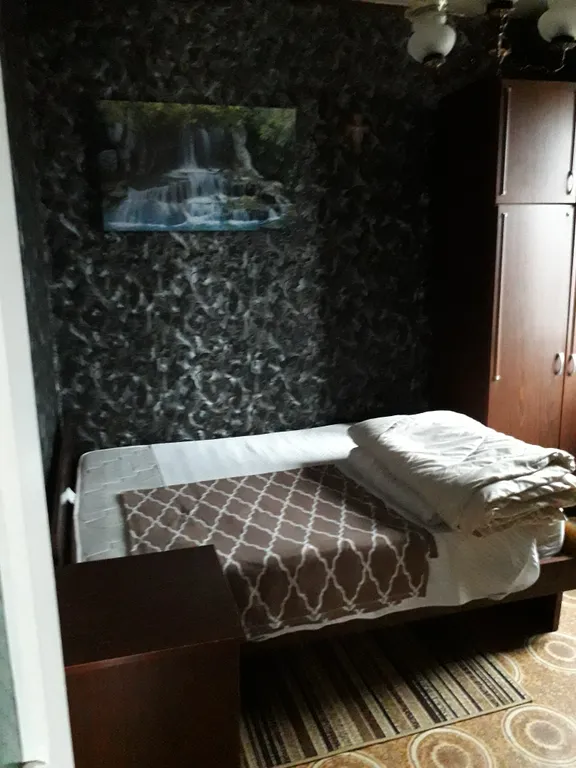 Целый дом с садом и двориком