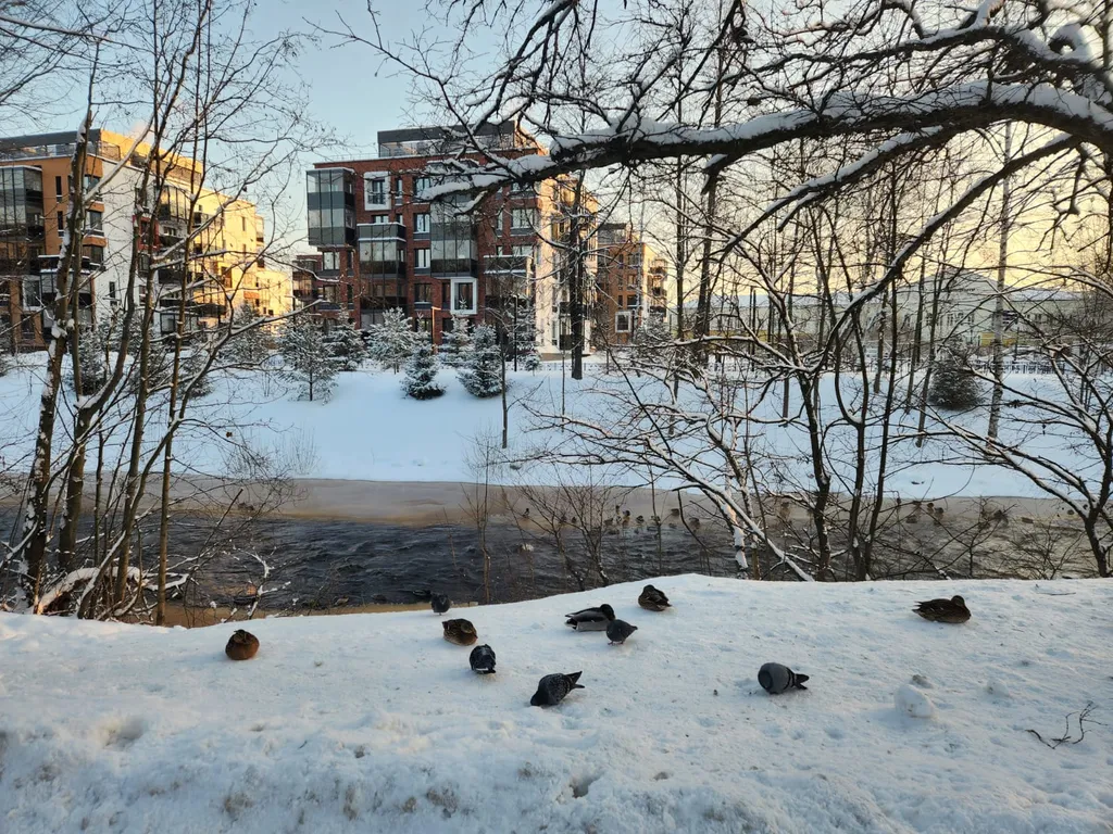 Апартамент в центре в парке на речке