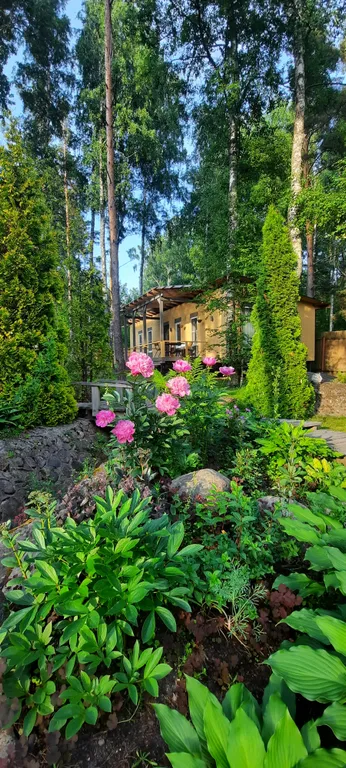 Коттедж Дом на Финском заливе в проливе Бьеркезунд — Приморск