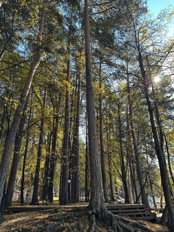 Уютный номер на озере Еловое