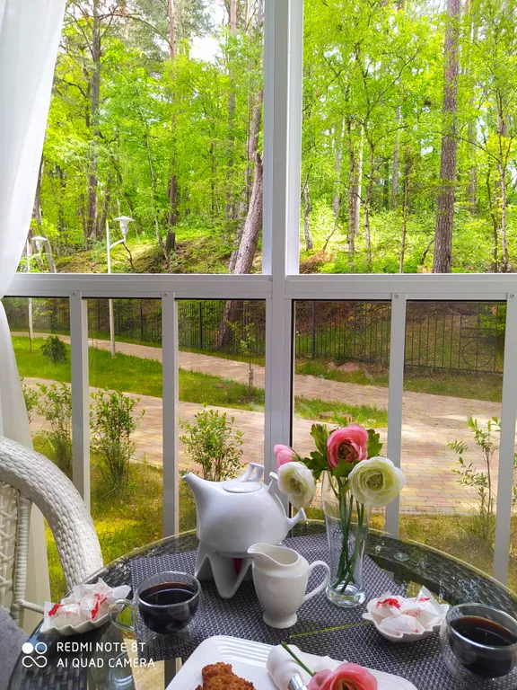 Квартира Уютная квартира с видом на лес — Светлогорск