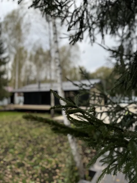 Коттедж Дом с верандой в лесу (3 спальни) — Дубна