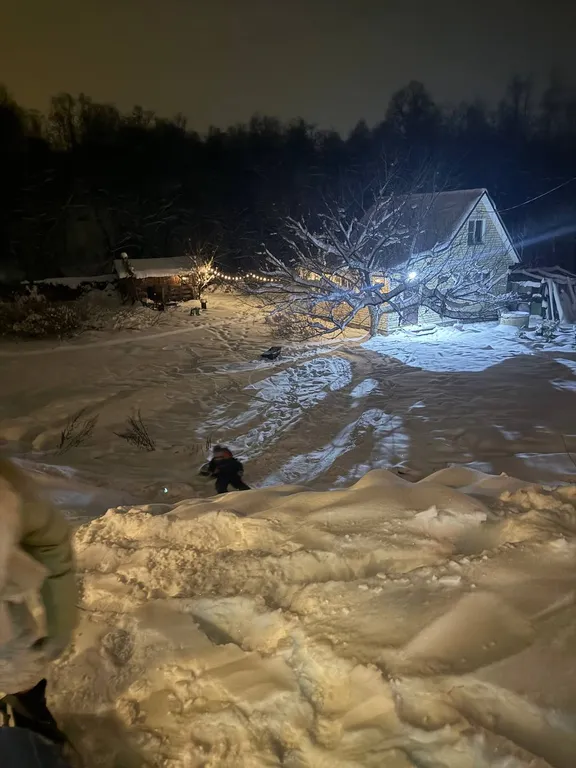 Выход из суеты - не дача Бобёр и Соловьи