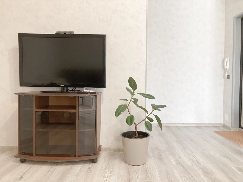 Шикарная Евродвушка в центре города