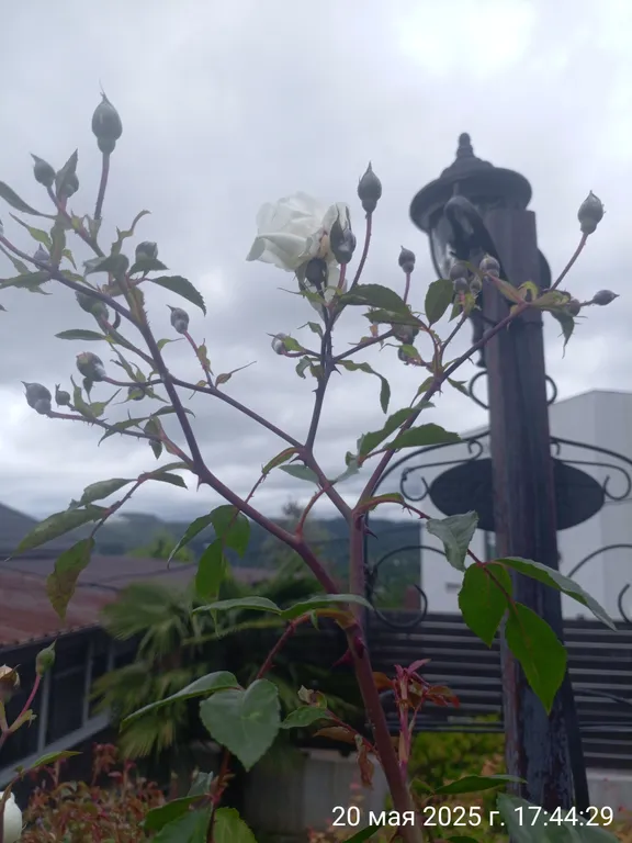 Коттедж Дом с террасой и отдельным входом — Мамайский Перевал