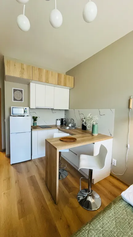 Квартира Квартира Уютная студия в Песочном — Песочный