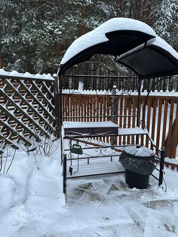 Шале в сосновом бору