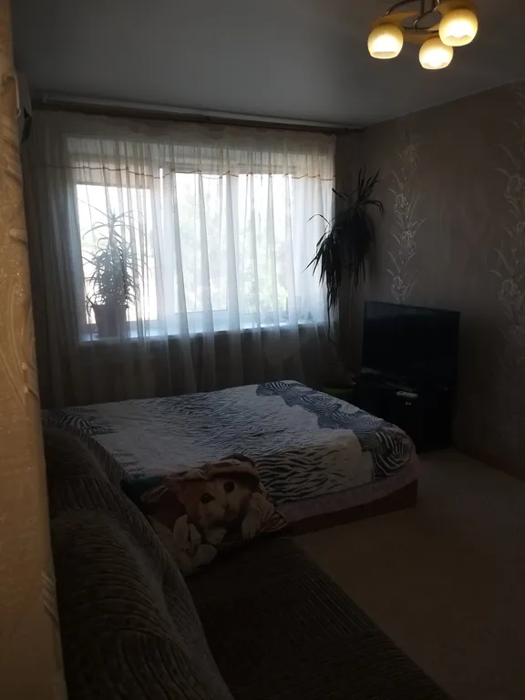 Уютная однокомнатная квартира около моря