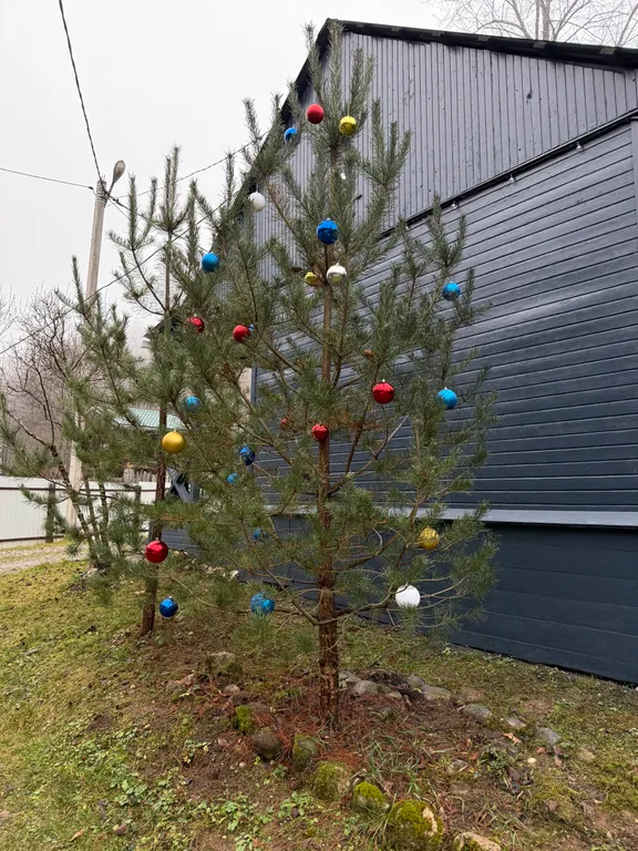 Квартира Уютная комната для четверых в деревянном таунхаусе у озера — Мезмай