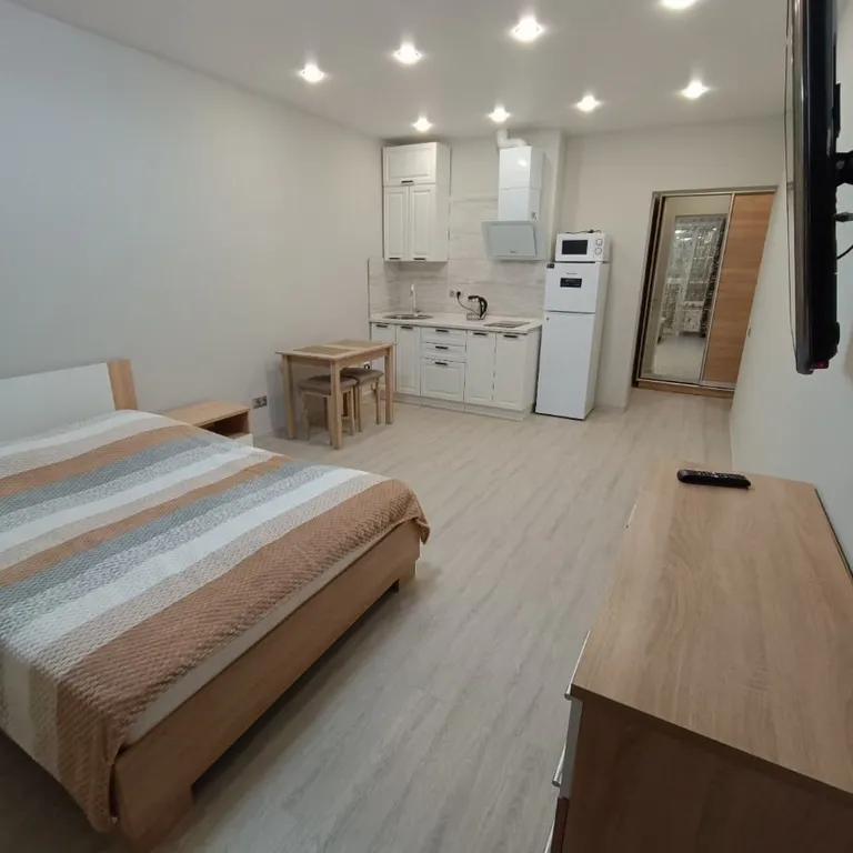 Квартира Студия в центре города с видом на "Горный воздух" — аренда посуточно в Южно-Сахалинск