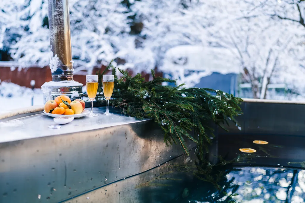 Дом на пруду с камином и караоке