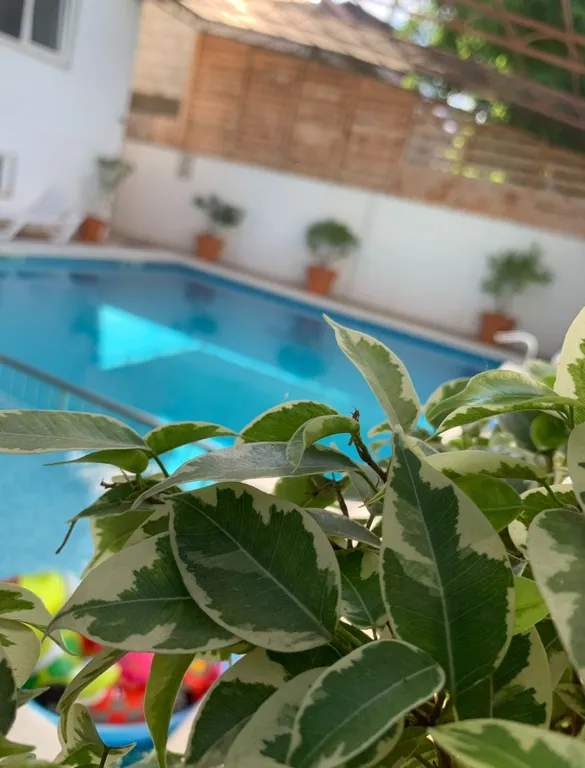 Квартира Квартира Двухместный номер "Эконом" — Анапа