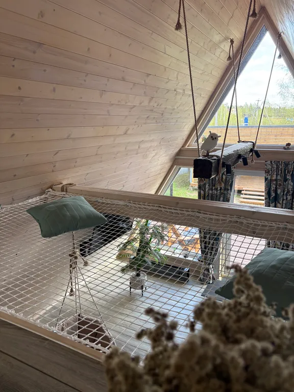 Домик у леса