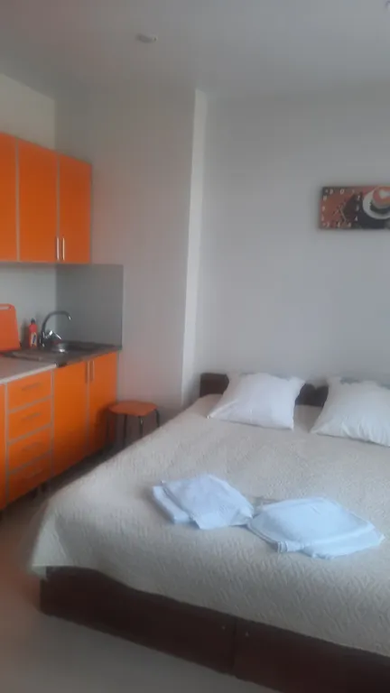 Квартира Уютная квартира для прекрасного отдыха — Сириус