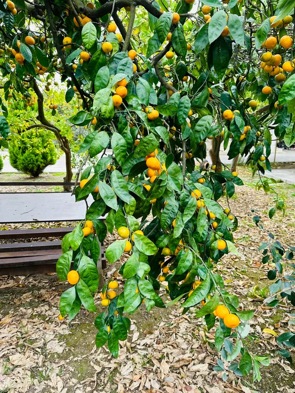 Домик 2-комнатный 5-местный