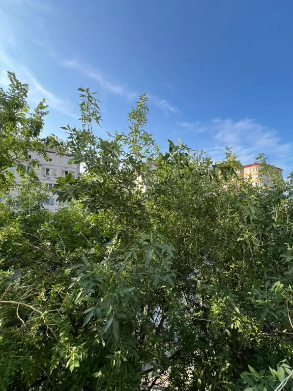 Студия в самом центре города