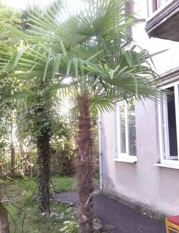 Дом под ключ